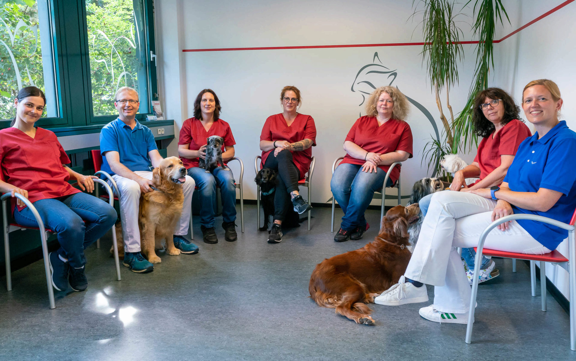 Teaserbild Tierarztpraxis Dr. Guido Dedenbach