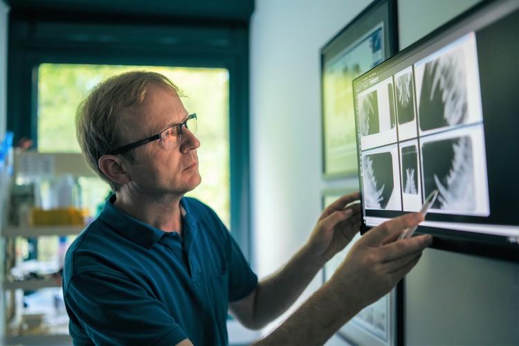 Tierarztpraxis Dr. Guido Dedenbach - unsere Vision